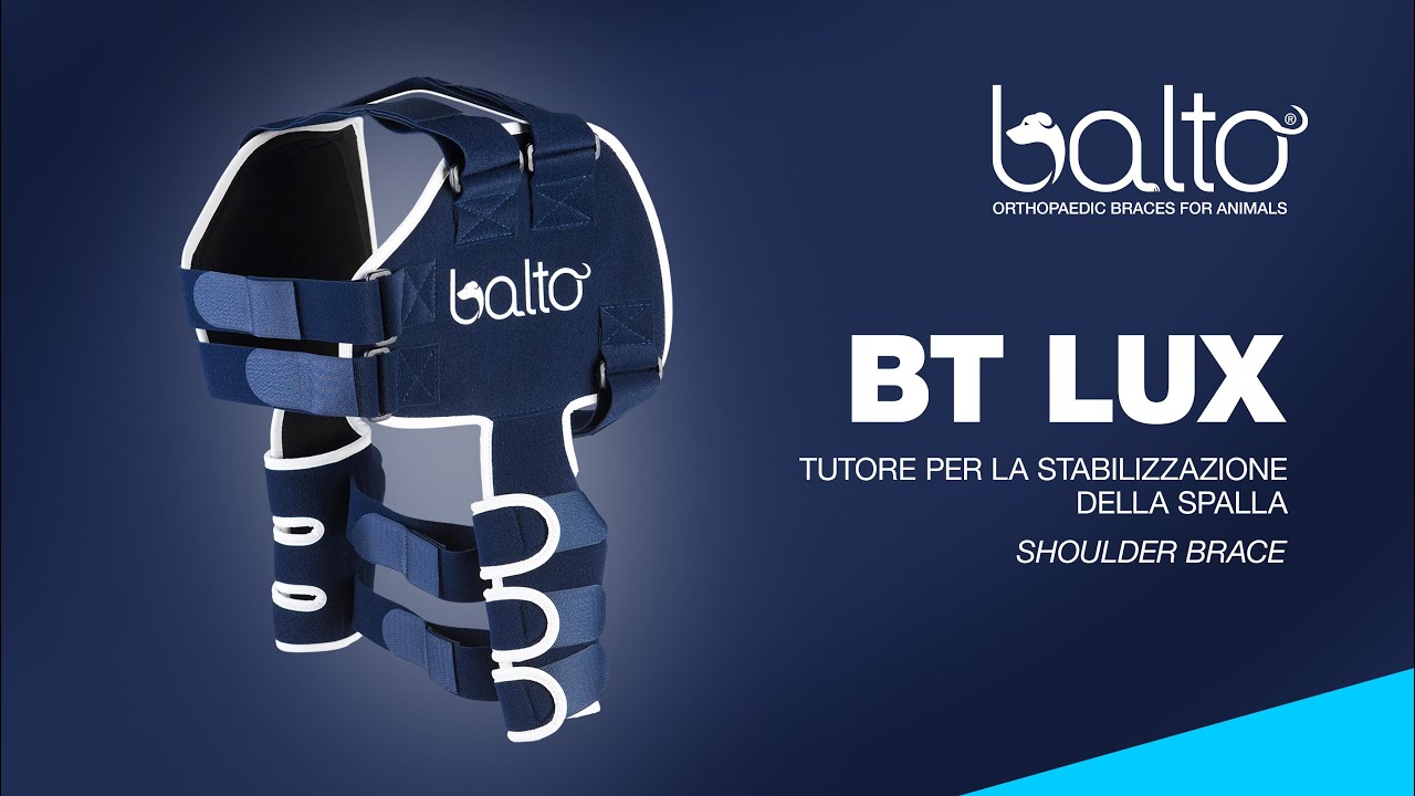 BT LUX - TUTORE PER LA STABILIZZAZIONE DELLA SPALLA - SHOULDER BRACE