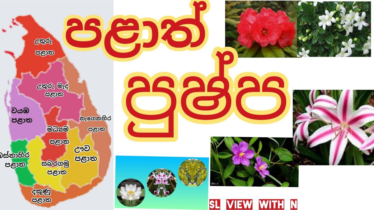 පළාත් පුෂ්ප palath pushpa (Provincial  flowers in Sri Lanka)