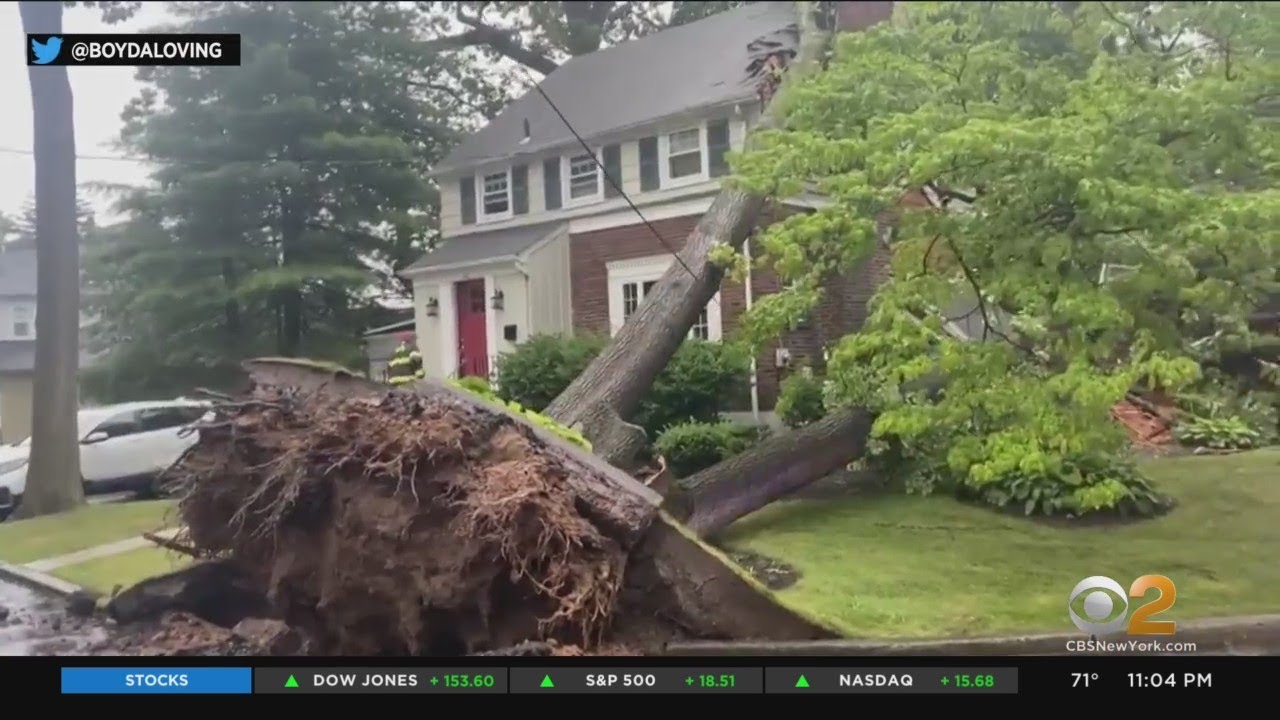 Severe Weather Causes Damage, Flooding In New Jersey