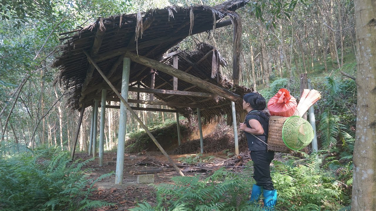 Homeless Girl Clean Up and survives in abandoned houses, looking for safety