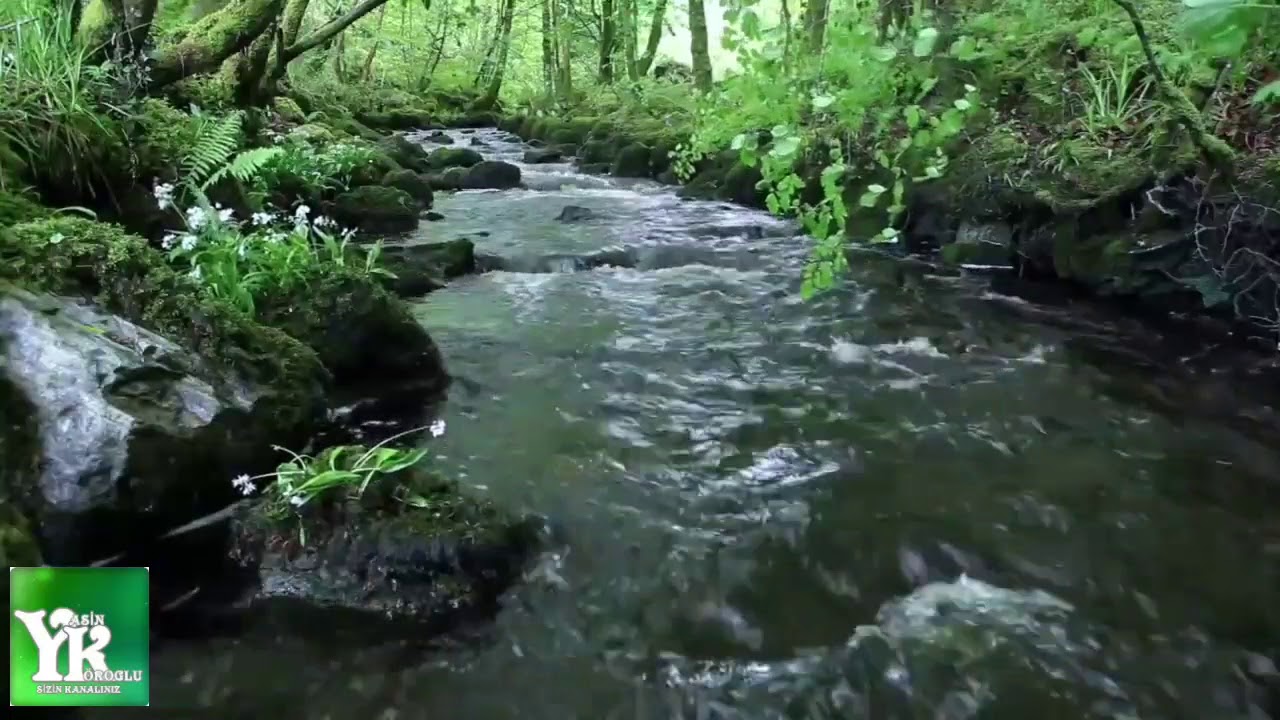 Allah cc Zikri eşliğinde Rahatlama Terapisi Nehir sesi eşliğinde