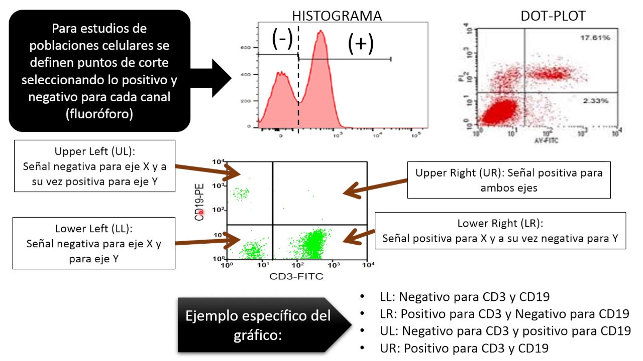 DH: Inmunofenotipo en el diagnóstico de neoplasias hematológicas