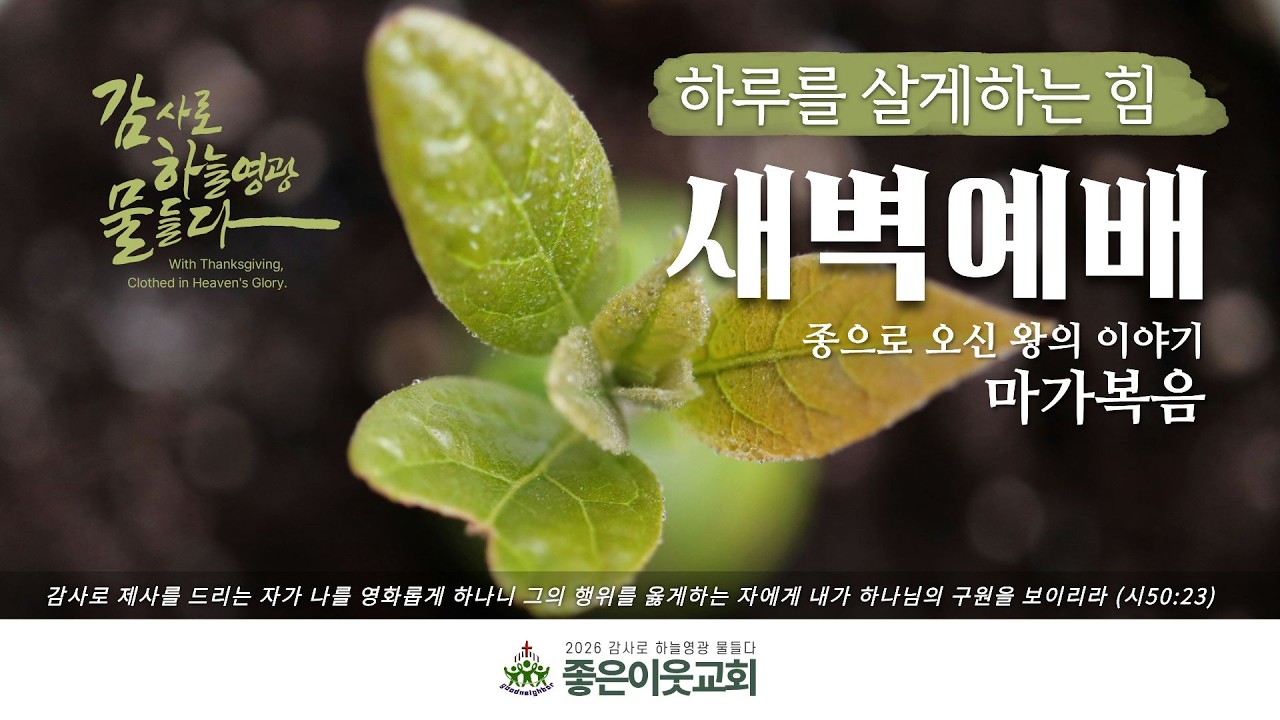 20260226 새벽예배(막8:1-13) / 서민기 담임목사