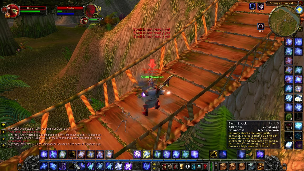 WoW enahncement shaman vs Paladin Classic Vanilla