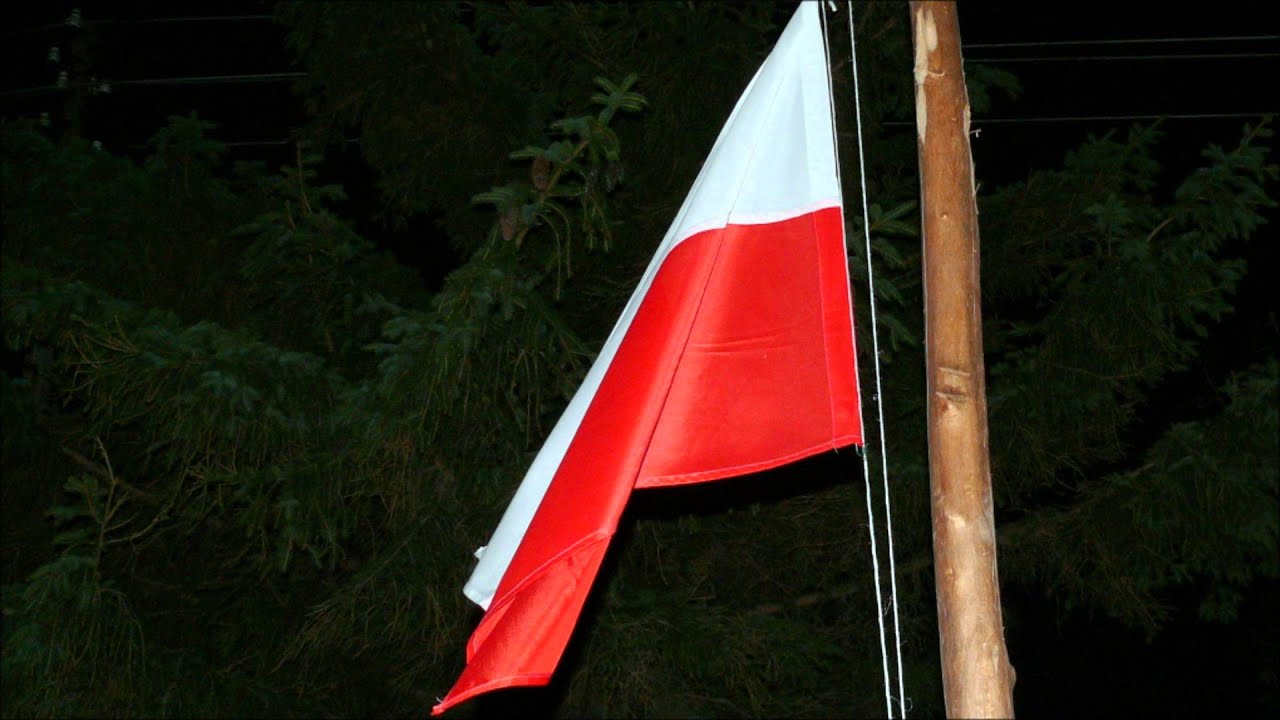 Szare Szeregi - Herbatka z Honoratką