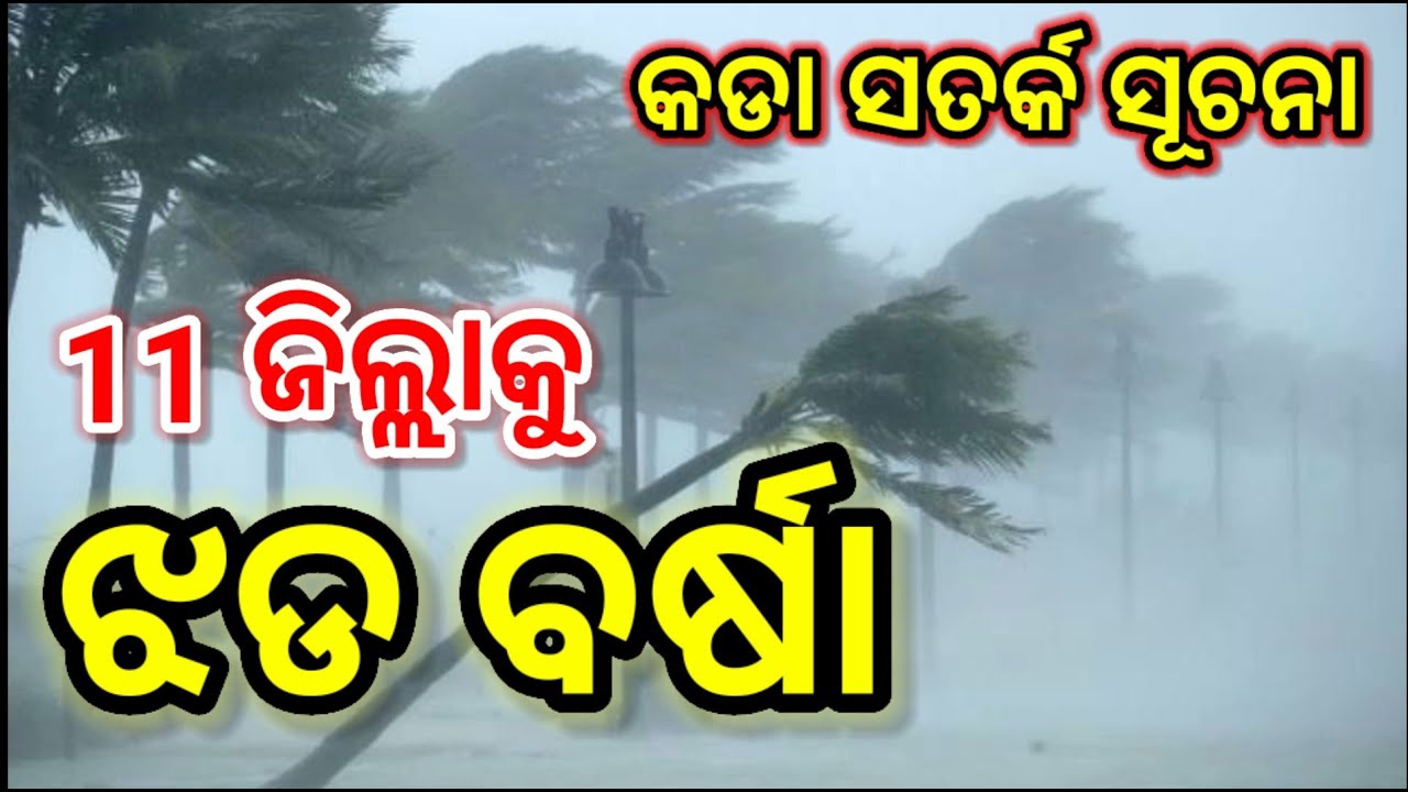 Odisha Panipaga News Today, Odisha cyclone update, odisha laghuchap update, odisha weather