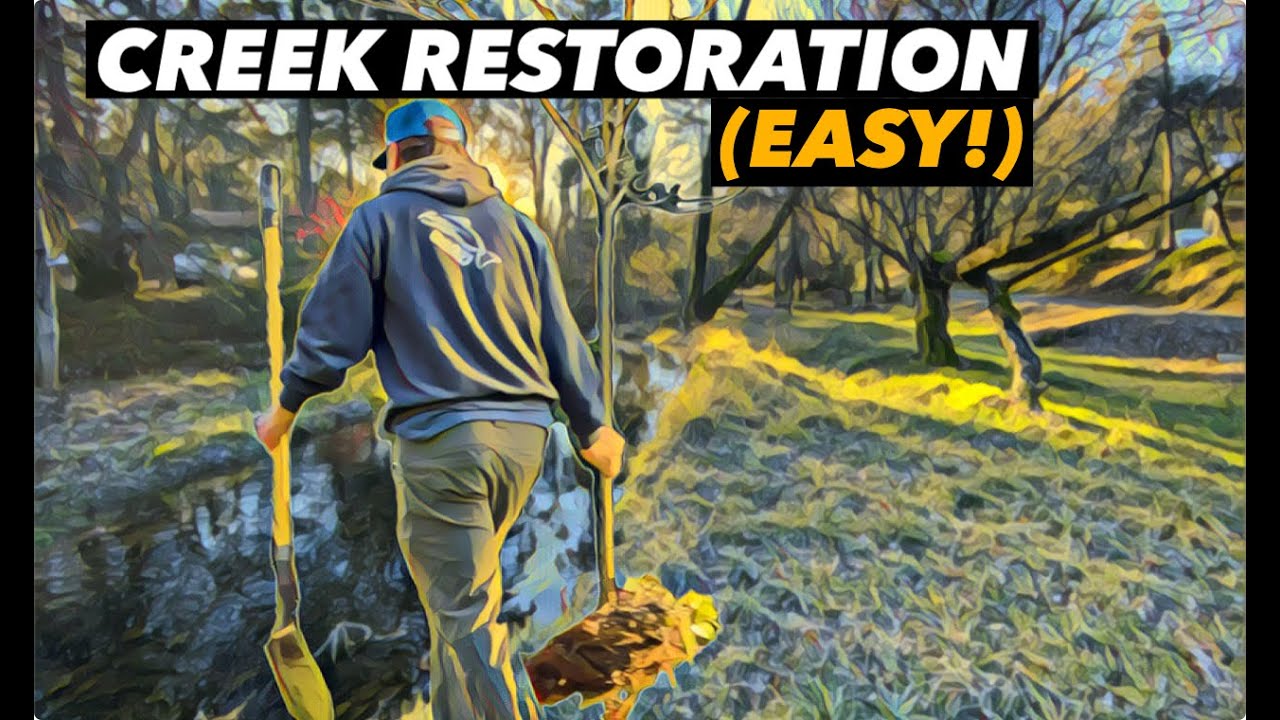 Impromptu Creek Restoration Project