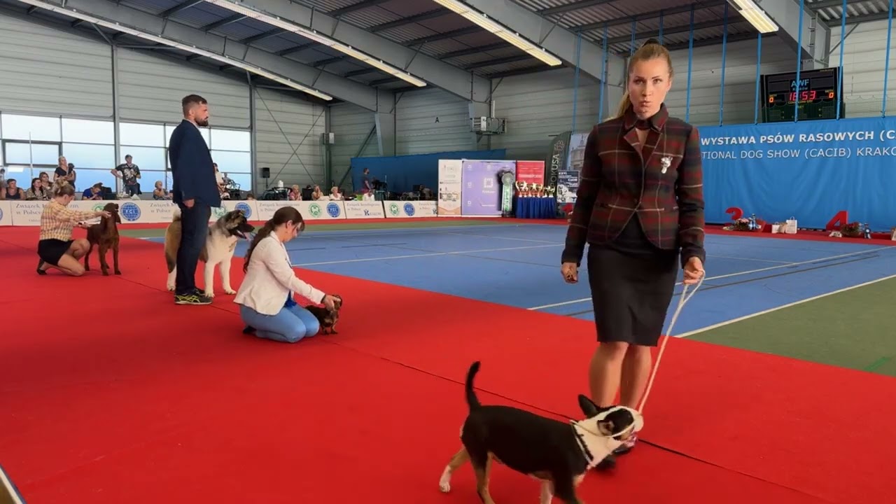 Krakow 2024 Day 1 International Show