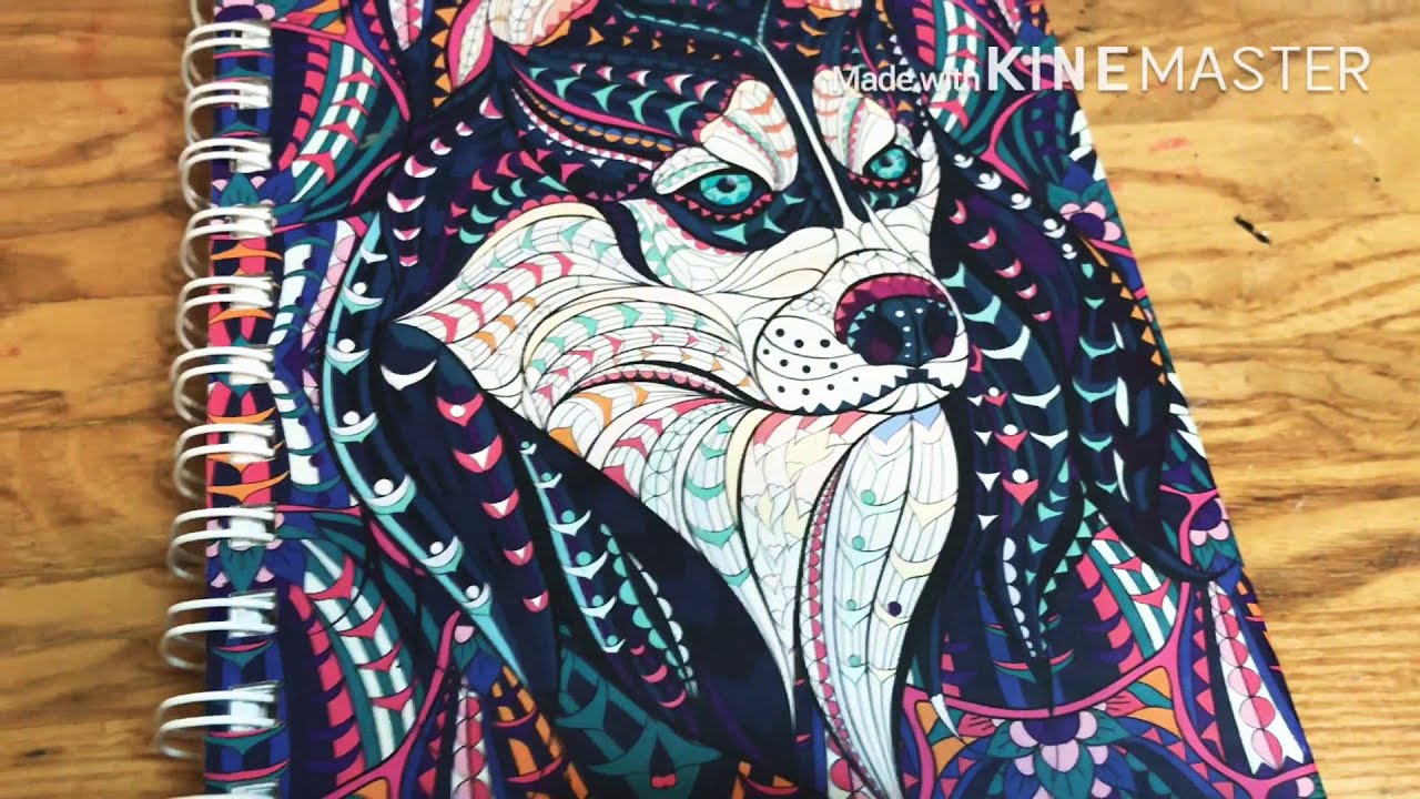 Нормальный и адекватный обзор🌚👌🏻[ clover studio ]