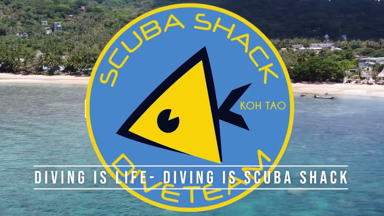 Our new dive shop at Sairee beach on koh tao in Thailand. diving is life - diving is Scuba Shack!!!