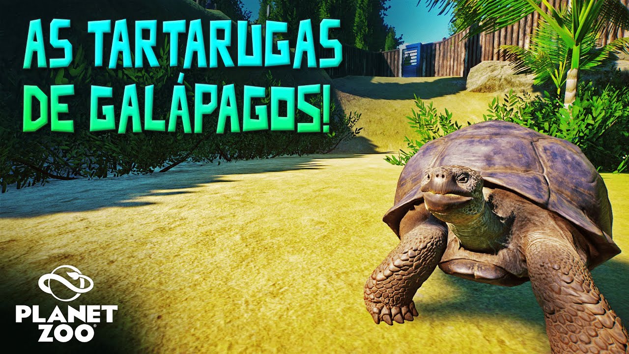 AS TARTARUGAS DE GALÁPAGOS! 🐢 | #33 | Planet Zoo | PT-BR ⭐