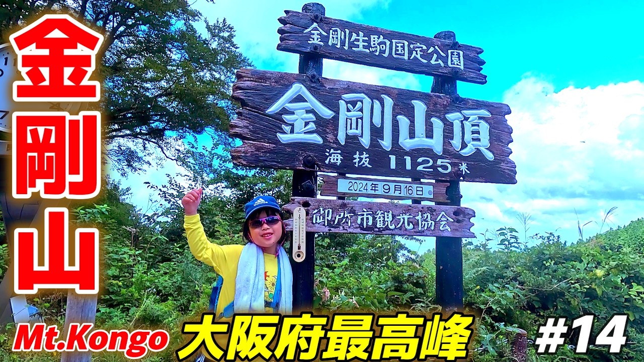 金剛山  完全舗装の千早本道ルートを6歳娘と登ってみた