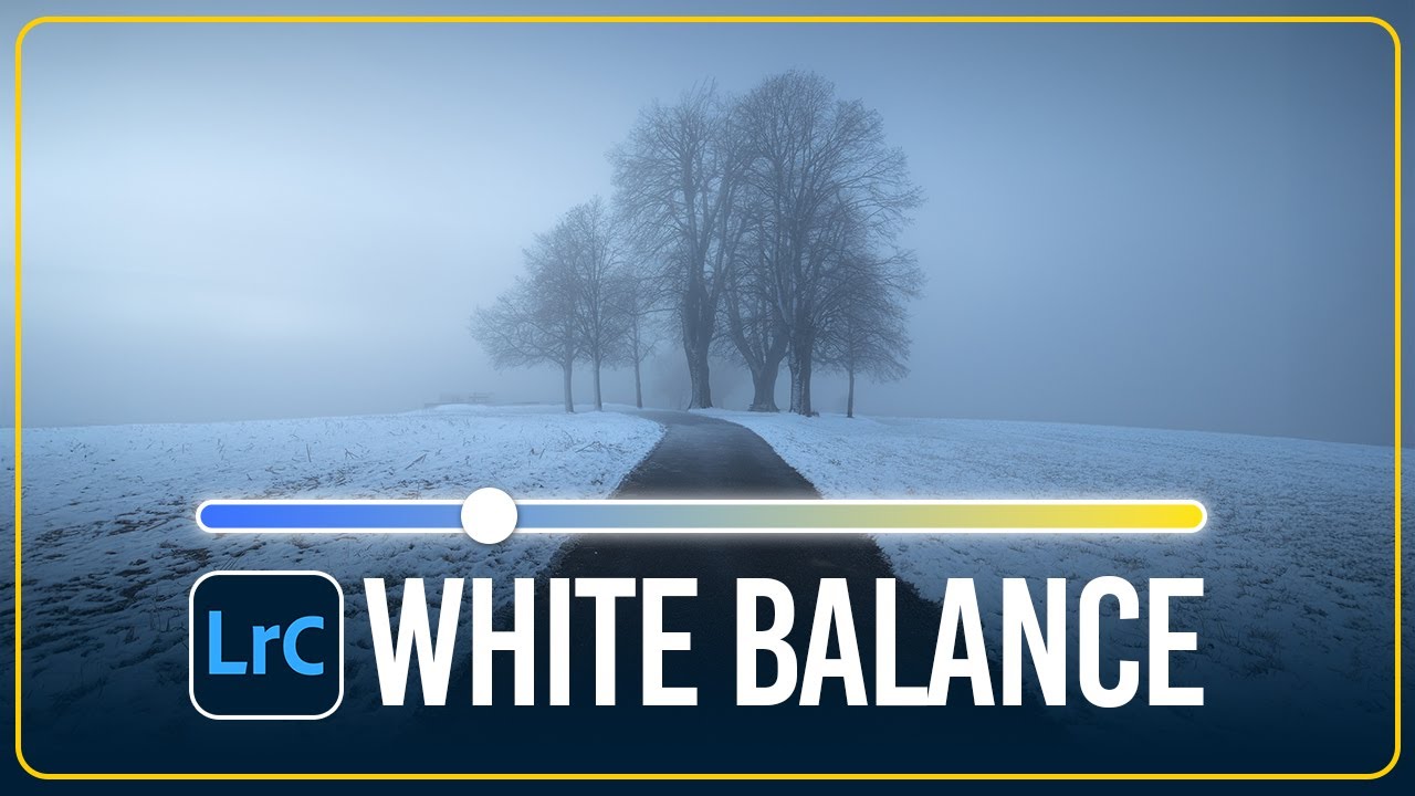 How I use WHITE BALANCE to Create MOODY IMAGES in LIGHTROOM!