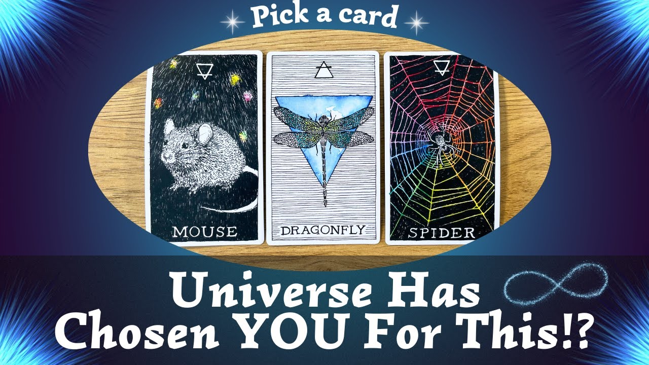 Universe has Chosen YOU For This!? ✨🌟💫⎜ Pick a card⎜Timeless Reading