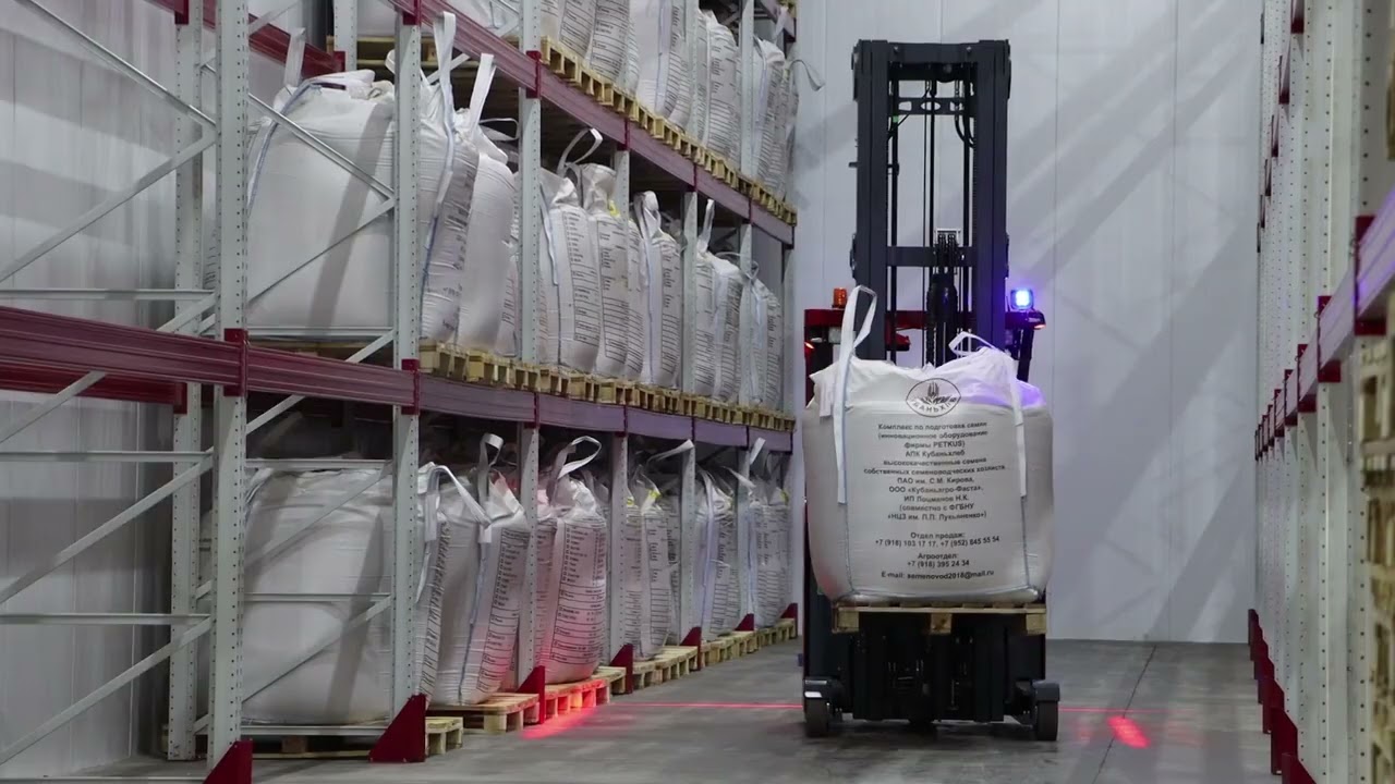 Как влияет на качество сева год производства семян|Как хранить семена пшеницы