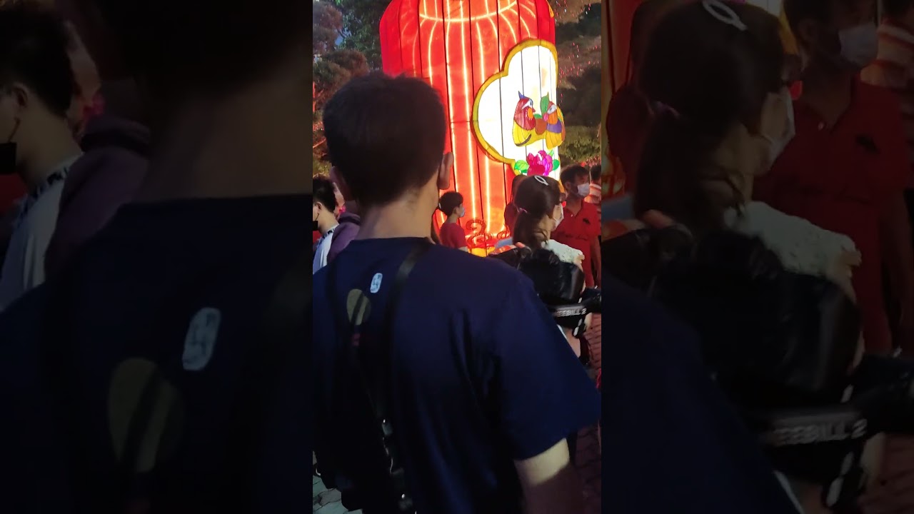 Professional Cameraman 📸