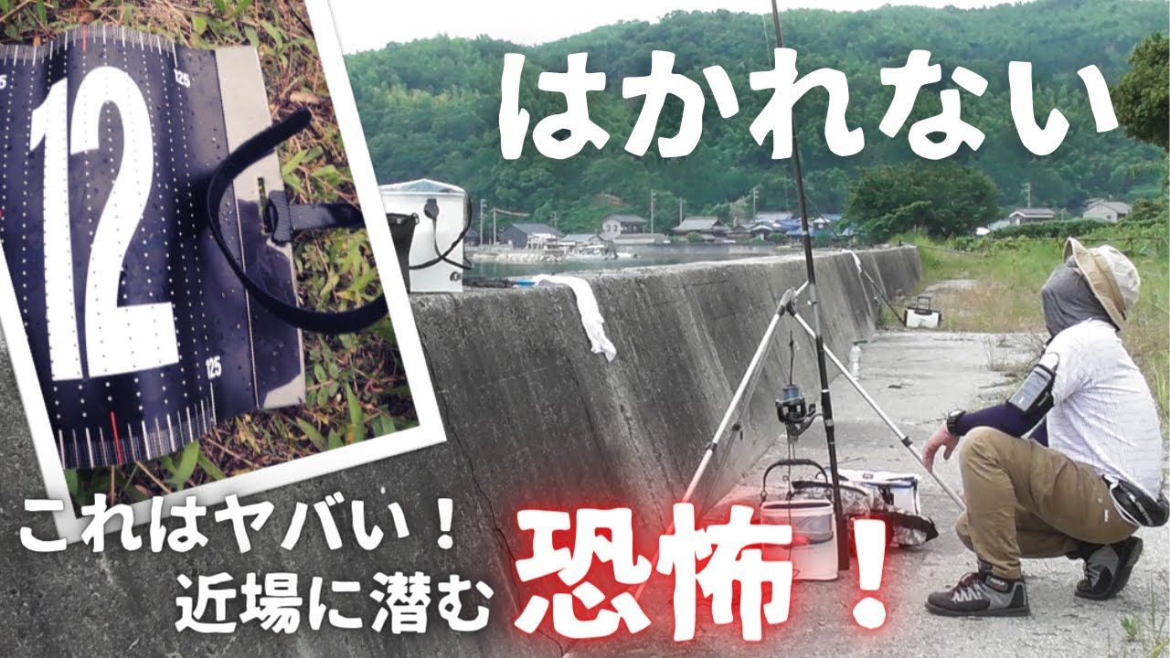 かつて経験した事のない尋常じゃない引き！4号磯竿の限界まで突っ込む！山口県周防大島【アジの泳がせ釣り】