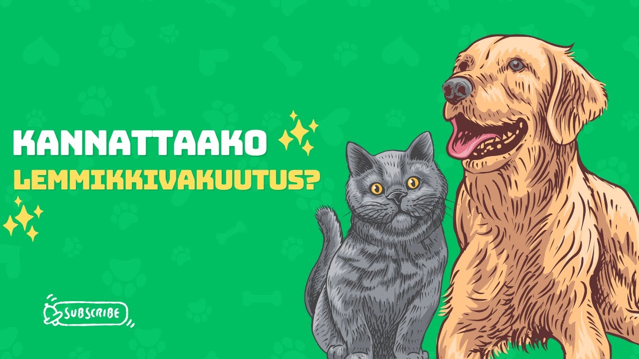 Kannattaako lemmikkivakuutus? 🐶🐱 – Hyödyt, kustannukset ja mitä pitää tietää
