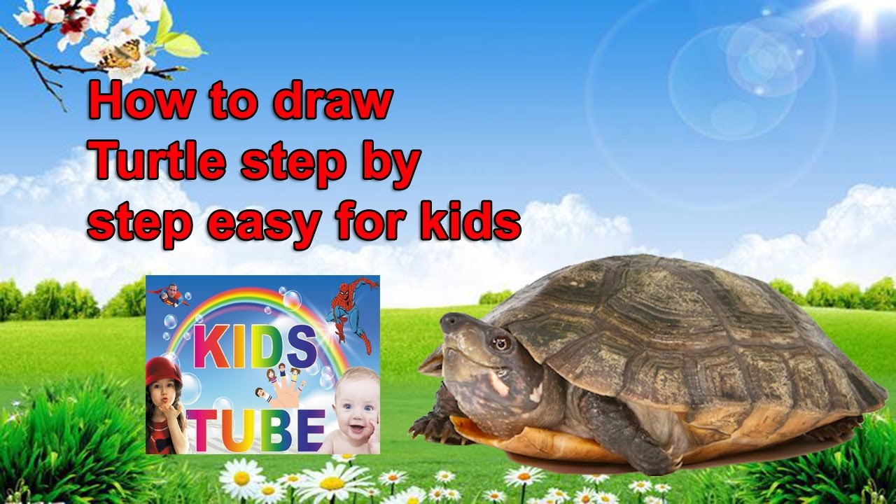 How to draw turtle for kids | Learn to draw for kids | Kidstube