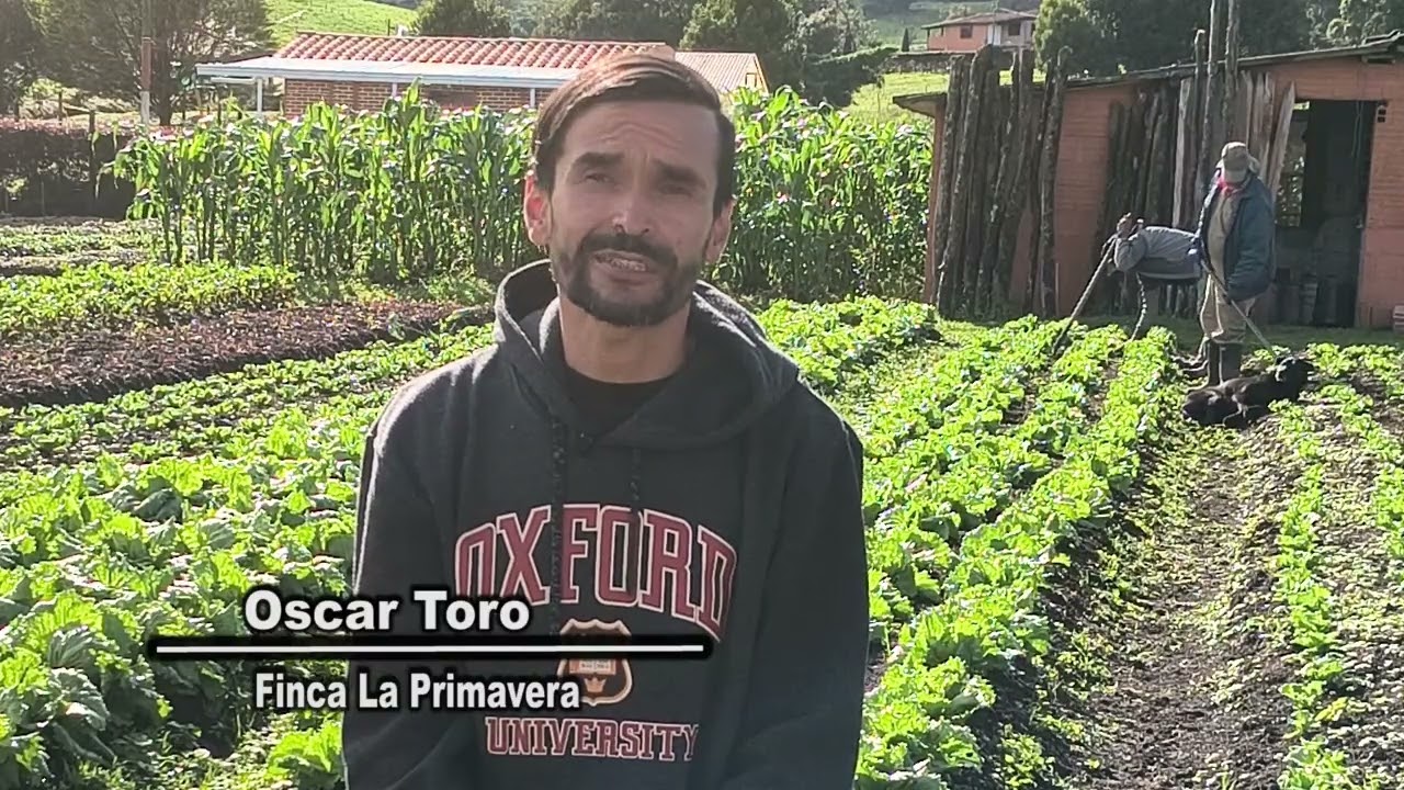 FINCA LA PRIMAVERA