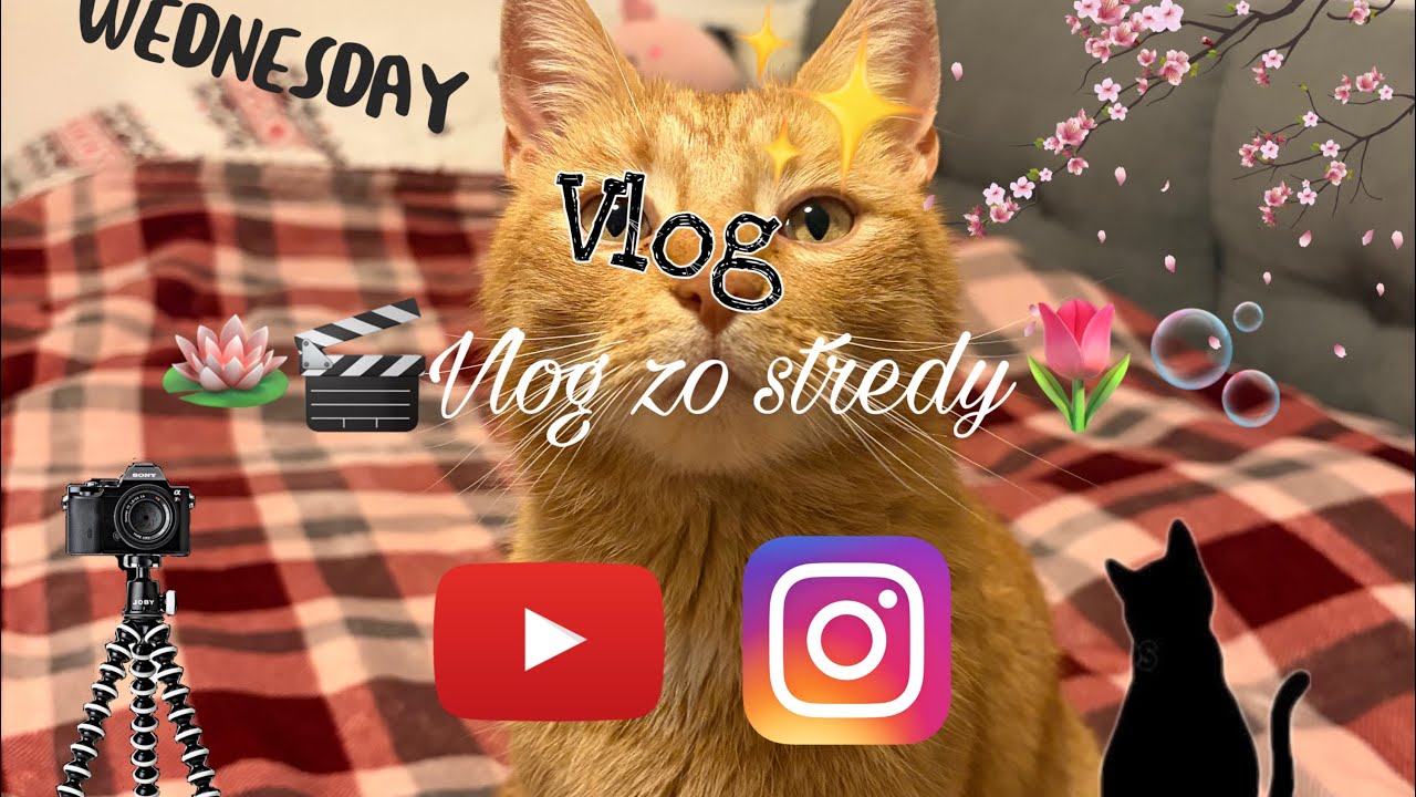 VLOG zo stredy🎬🪷|hokej🏒🥅,škola 👩‍🏫🏫,klavír🎹🎙️