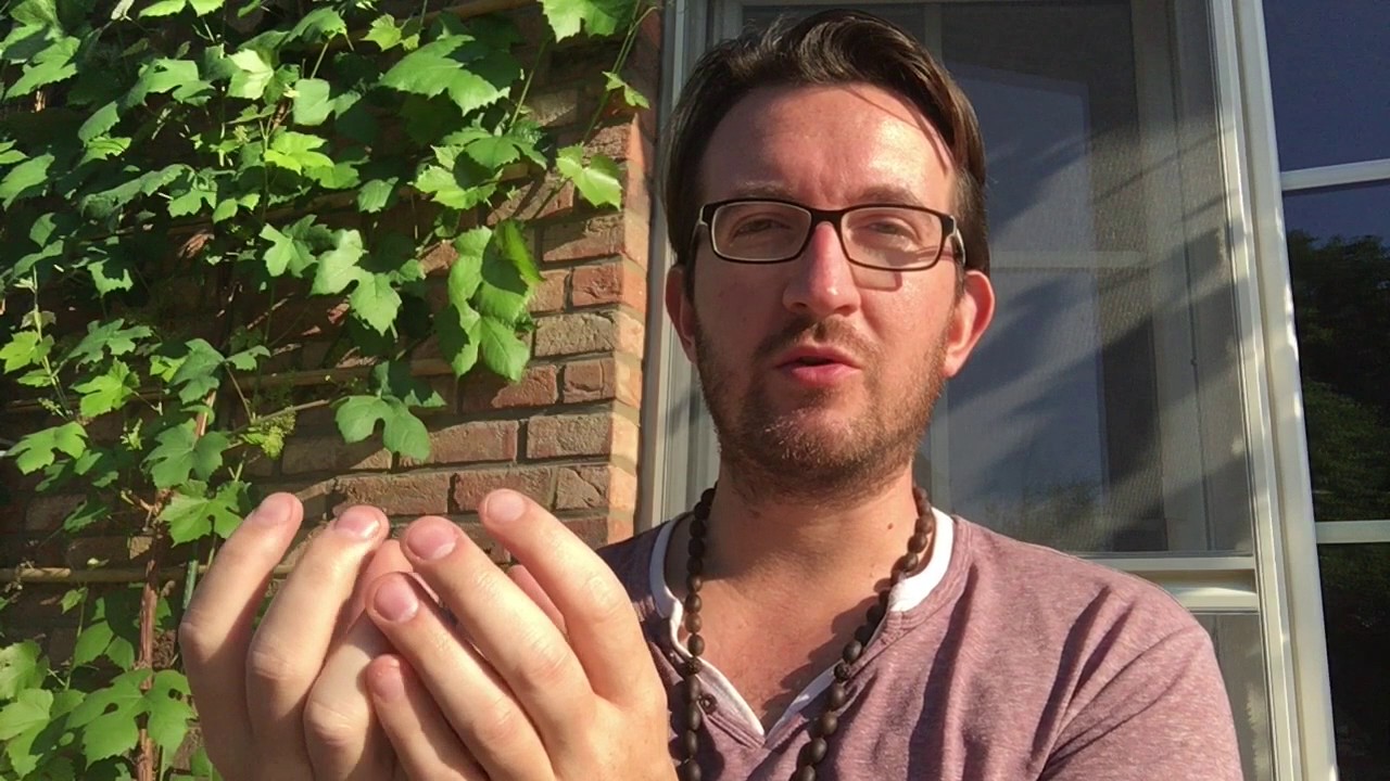 Ce qui perçoit peut il être perçu ?