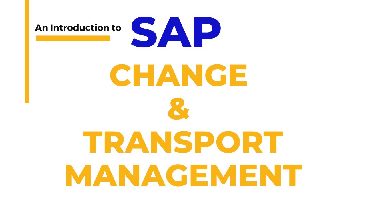 How to Manage SAP Transports | SAP Basis | SAP Dual Landscape