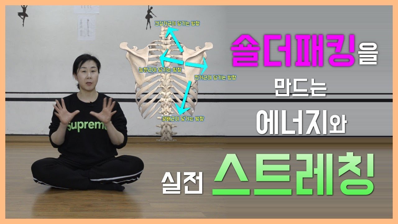 [마름모코어 시즌 1-154] 숄더패킹을 만드는 에너지 / 갈비뼈와 어깨뼈의 합작으로 만드는 숄더패킹 / 숄더패킹을 유지하는 스트레칭 방법 / 어깨안정화