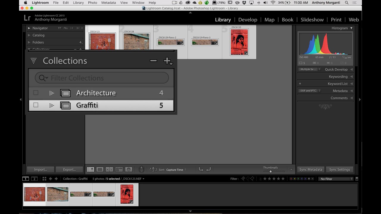 Lightroom Quick Tips - Episode 53: Collections
