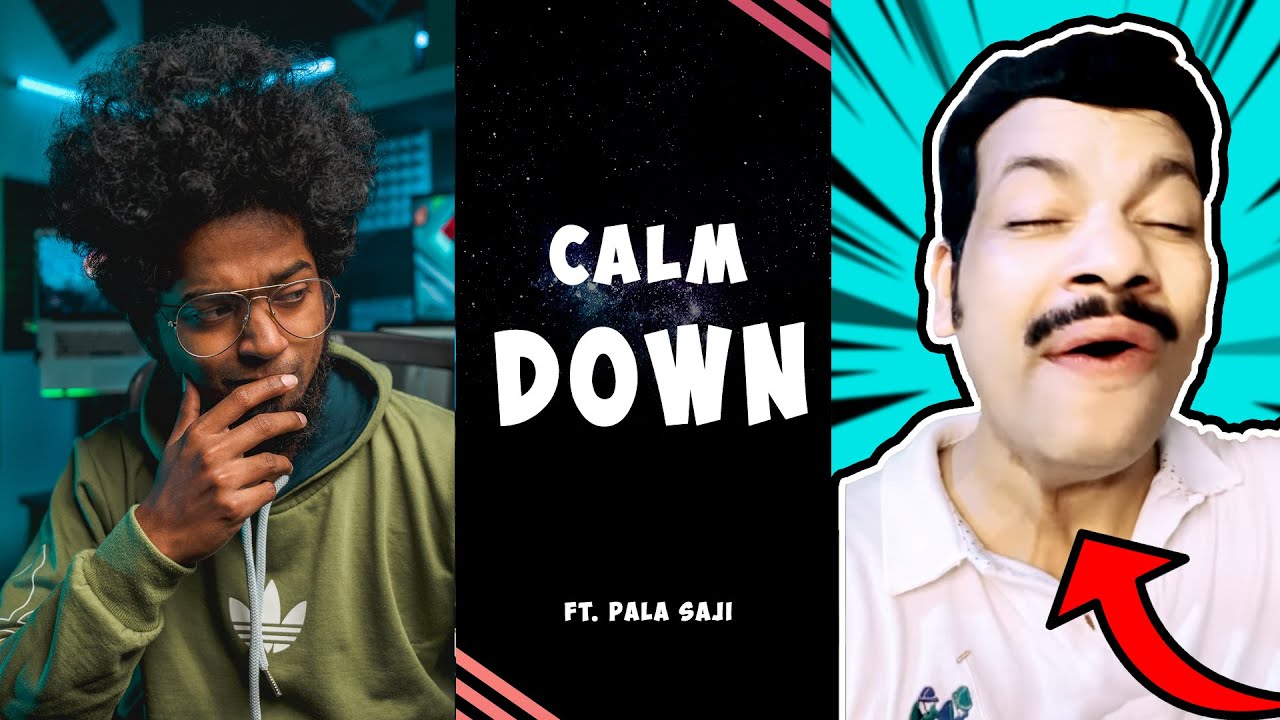 Calm Down Remix ft. Pala Saji 😎 | Dialogue With Beats | Ashwin Bhaskar