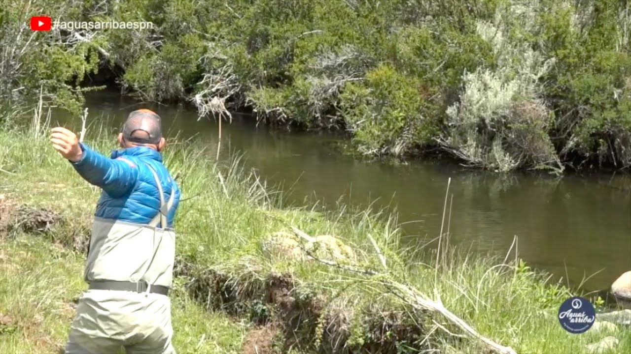 Spring Creek Puente de Tierra Tecka Lodge Fly fishing Patagonia Aguas Arriba ESPN T:13 E: 6 2020