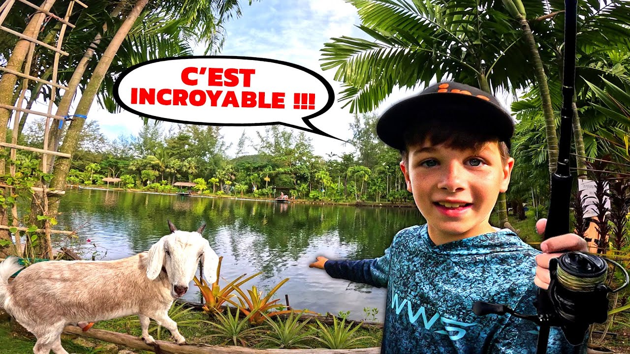 Je Pêche les Poissons les plus Fous de ma Vie dans la Jungle ! (En Thaïlande 🇹🇭)