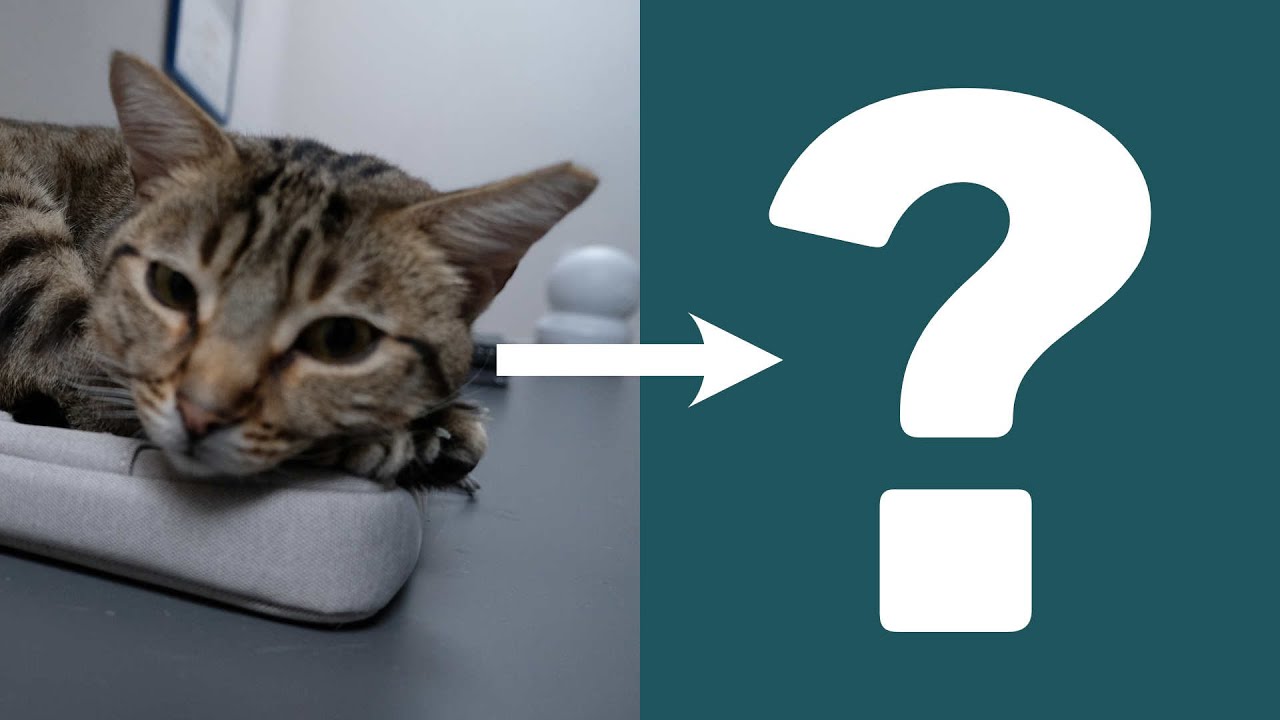 È possibile SALVARE UNA FOTO SFOCATA? | Canva, Affinity e AI a confronto