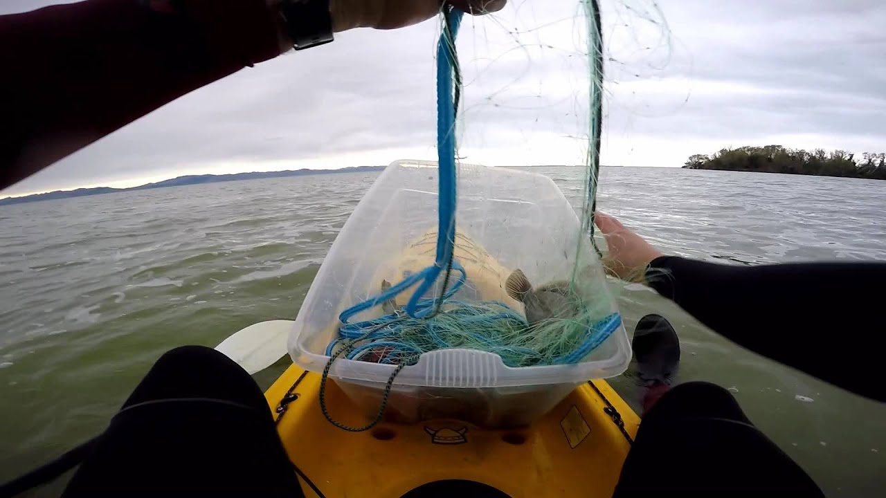 Flounder- Kiwi Style