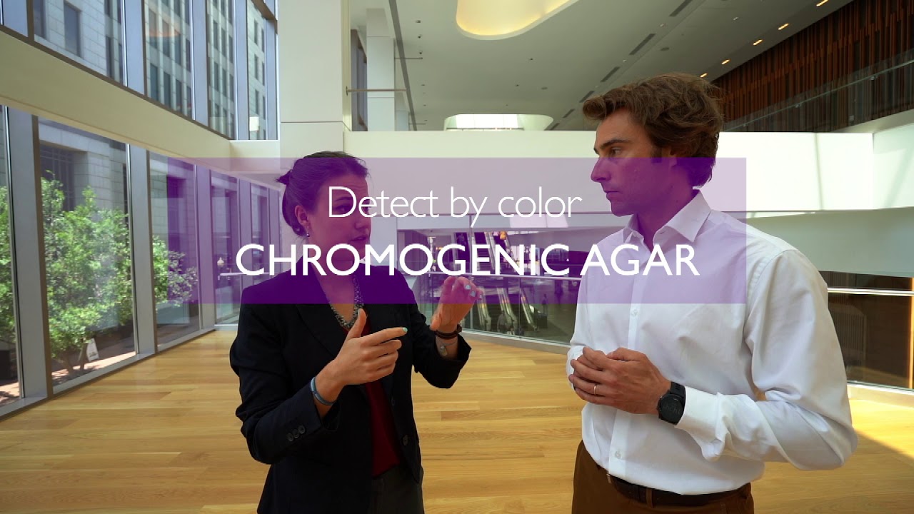 What is ScanStation, real-time bacterial monitoring?