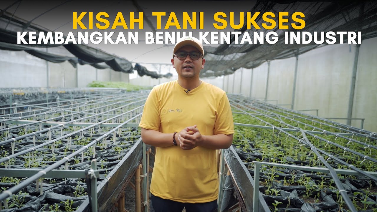PETANI MUDA SUKSES KEMBANGKAN BENIH KENTANG INDUSTRI