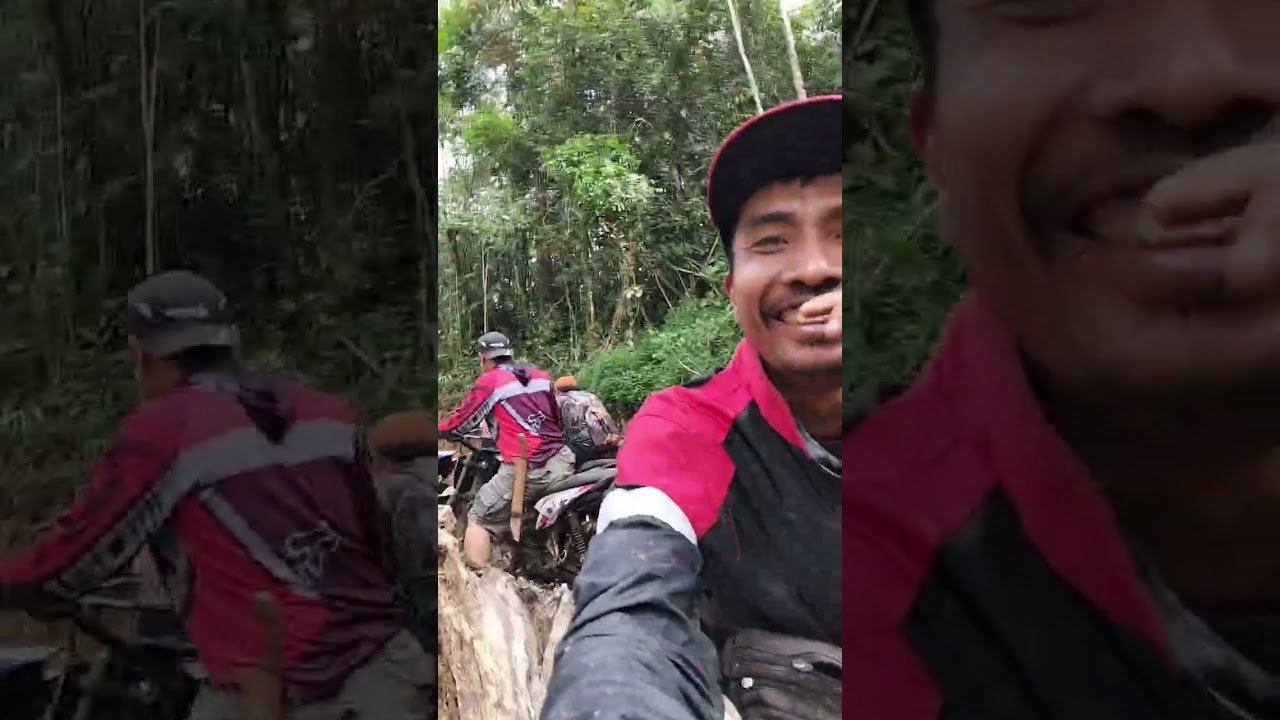 Menjelajah Hutan Adat Desa Renah Alai, POKDARWIS Desa Renah Alai