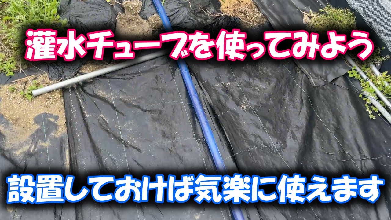 【灌水チューブ】ホースとチューブとバンドだけで簡単にできます。