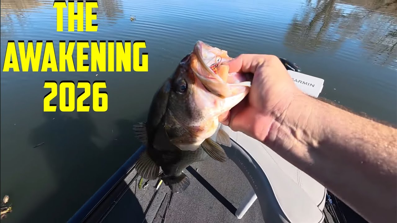 California Delta Pre-Spawn Bass Fishing 2026.