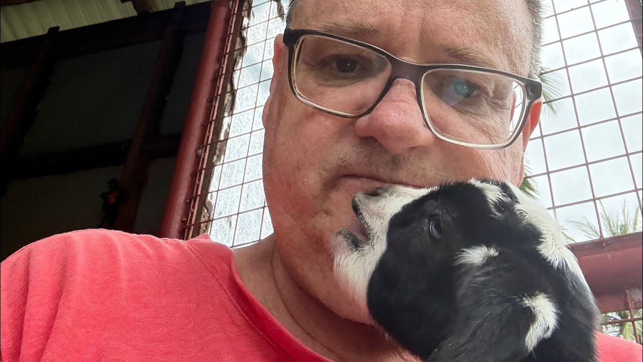 Goat rejected!!