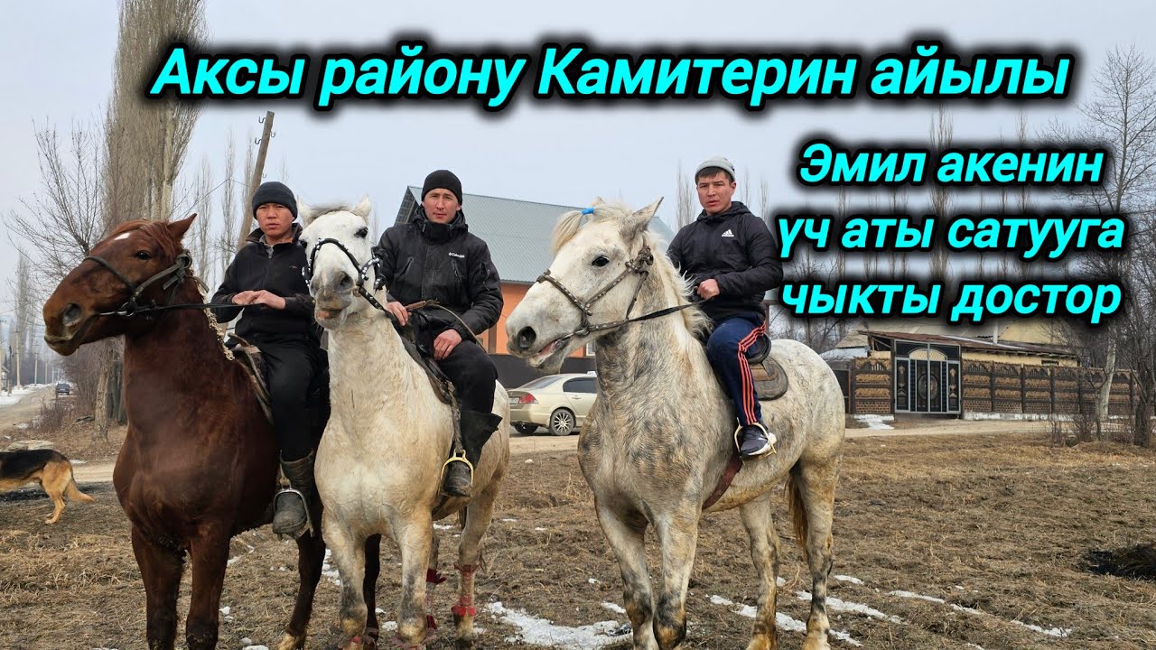 Аксы району Камитерин  айылы Эмил акенин ушул үч аты сатууга чыкты достор 🇰🇬💥💥💥