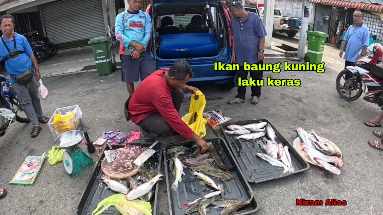 IKAN BAUNG KUNING LAKU KERAS