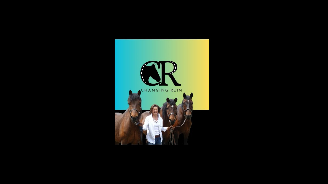 Ethical equestrianism: we discuss the ethics of using horses in sport with Prof. Madeleine Campbell