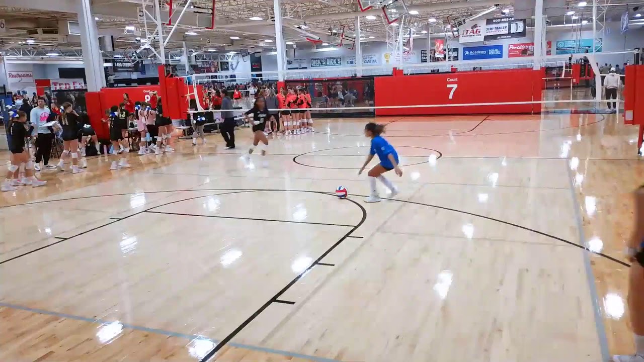Early Bird Gold Bracket M2 vs TX Legacy 12 Elite