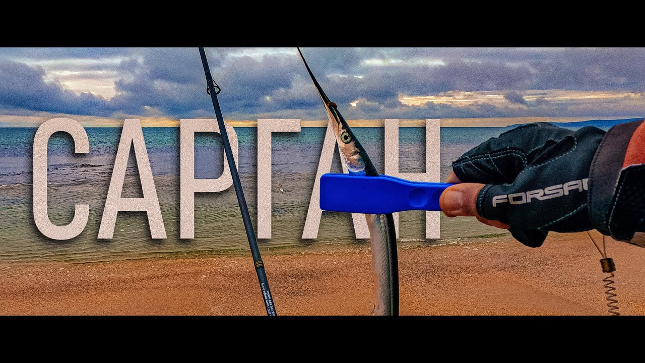 Ловля саргана на бомбарду