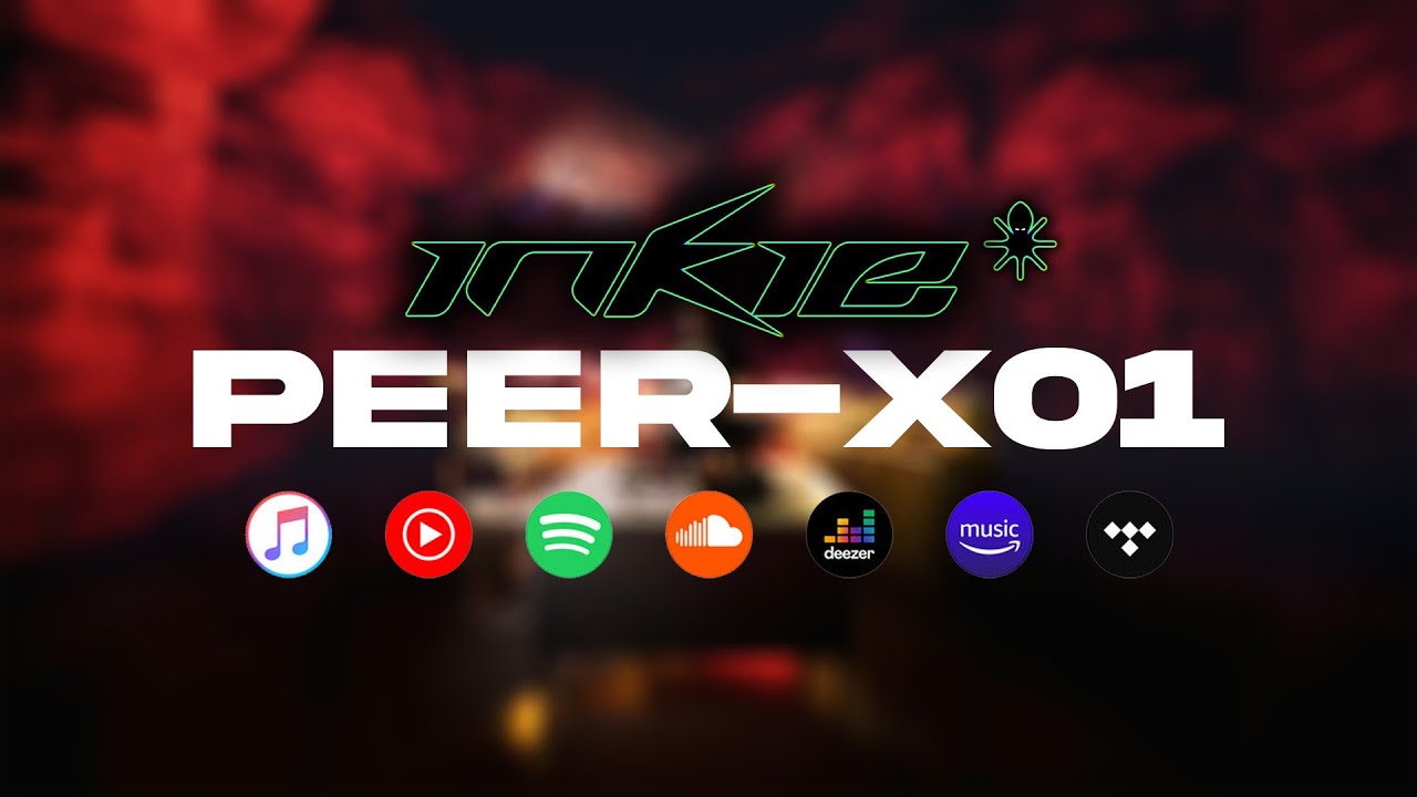 INKIE - PEER-X01