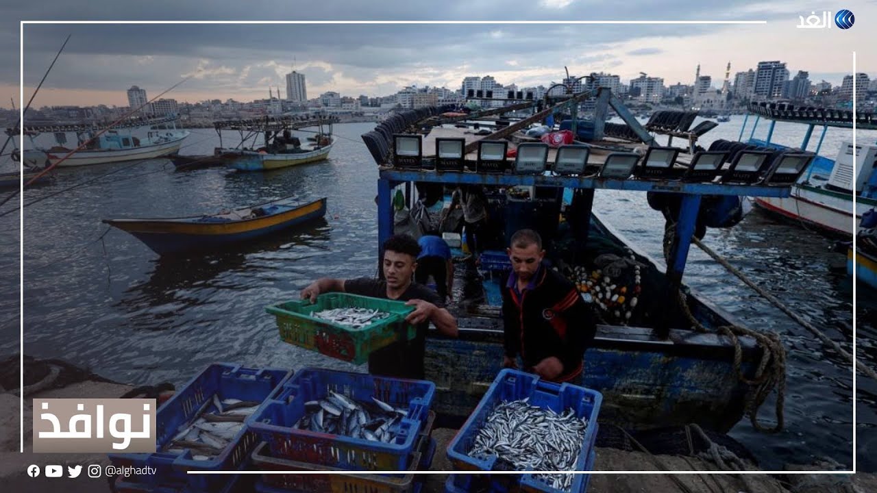 كاميرا الغد في رحلة بحرية إلى أول مزرعة أسماك في بحر غزة | #نوافذ