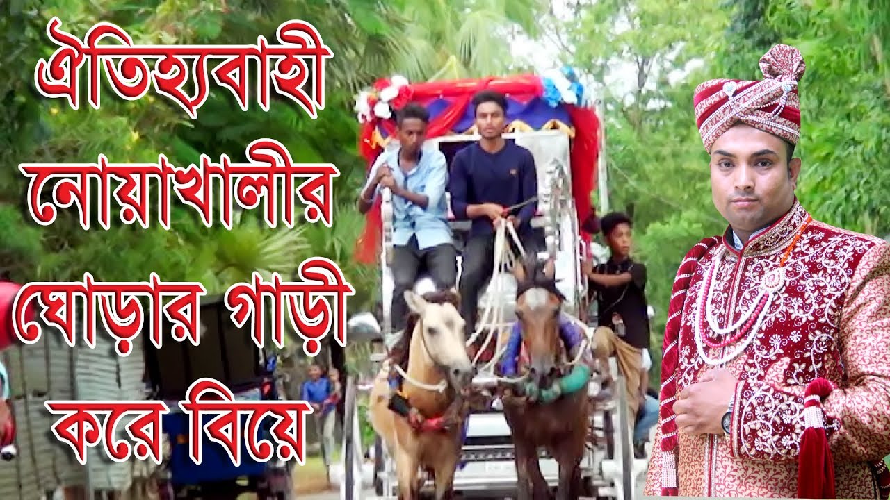 বিয়ে করতে যাচ্ছে বর তাও আবার ঘোড়ার গাড়ী নিয়ে,নোয়াখালীর ঐতিহ্যবাহী ঘোড়ার গাড়ীর নিয়ে বিয়ে
