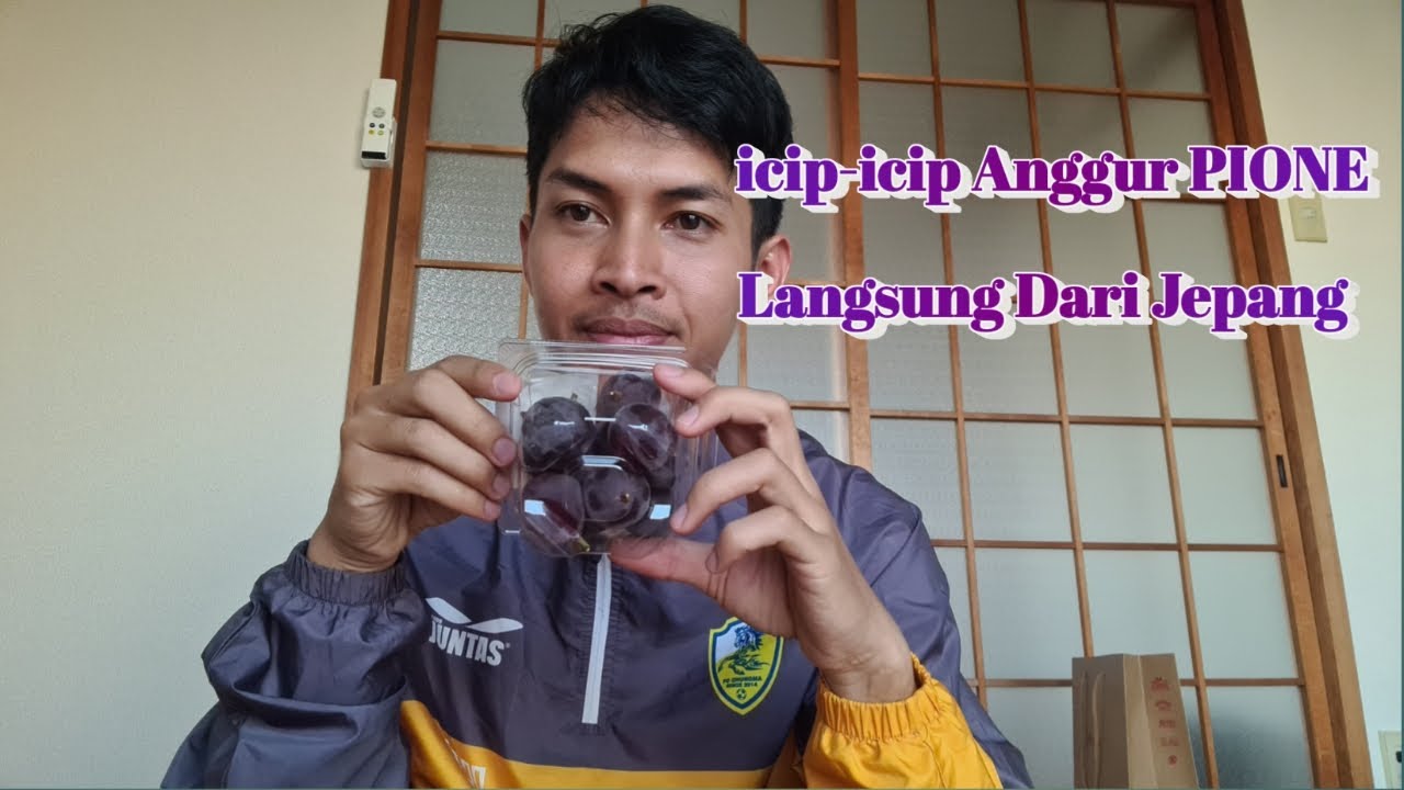 Review Anggur Jenis PIONE Langsung Dari Jepang