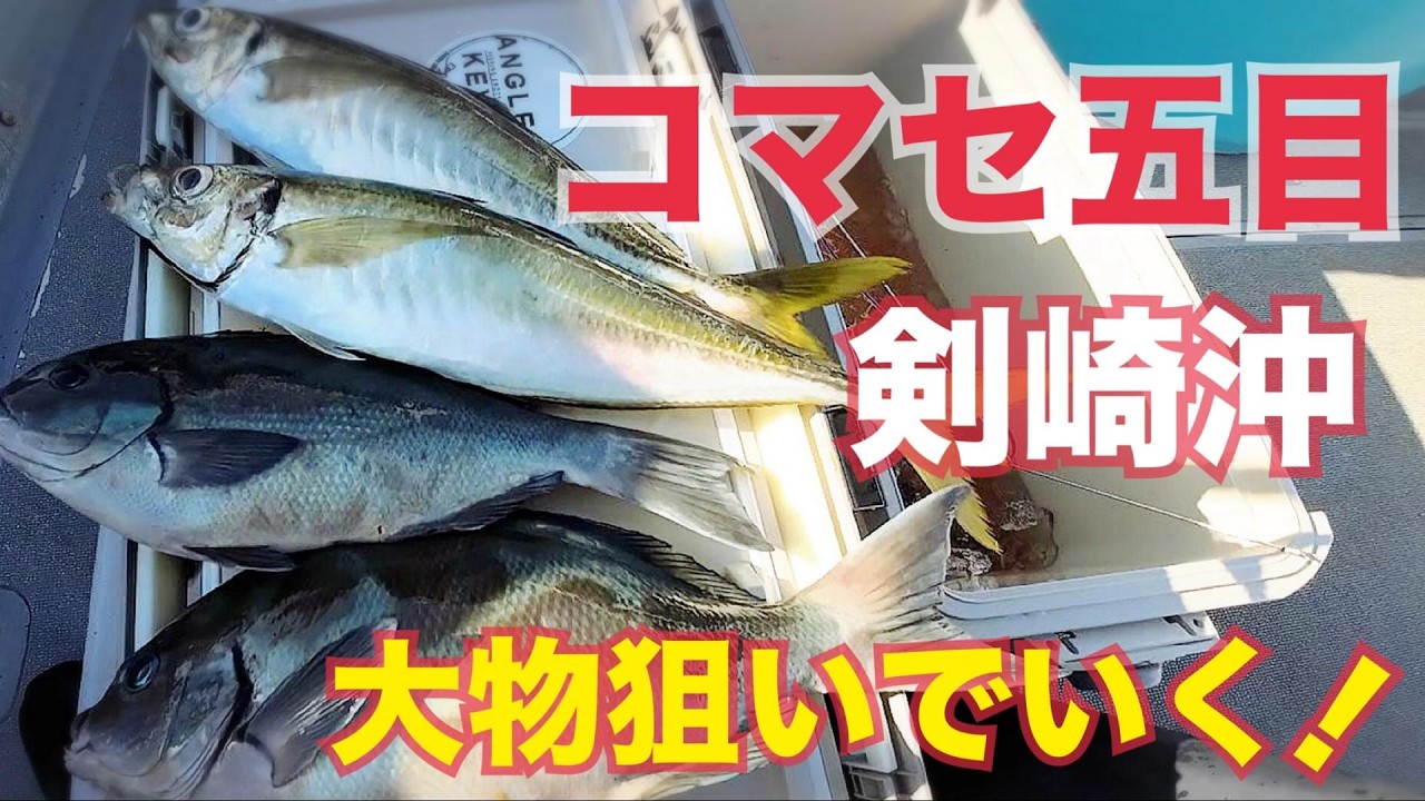 【コマセ五目釣り】イシダイほか大物を狙う！東京湾・剣崎沖｜仕掛け・エサ｜2026.1.17